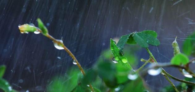 測定降雨量常用的儀器-雨量器和雨量計