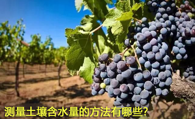 測量土壤含水量的方法有哪些？