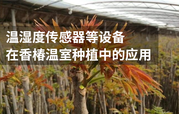環(huán)境監(jiān)測設備在香椿溫室種植環(huán)境中的發(fā)揮的作用