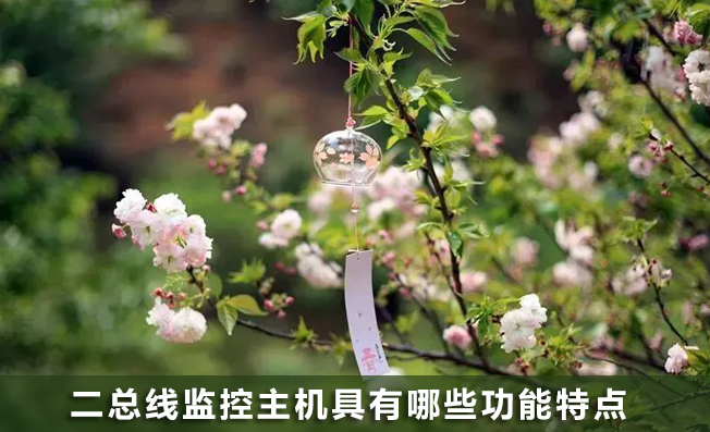 二總線監(jiān)控主機具有哪些功能？
