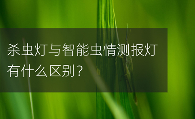 殺蟲燈和智能蟲情測報儀之間的區(qū)別？