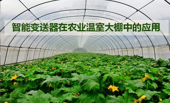 智能溫濕度傳感器在農(nóng)業(yè)大棚中的應(yīng)用