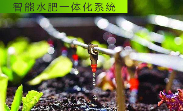 水肥一體化是如何避免過(guò)量施肥灌溉的？