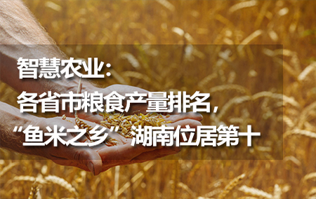 智慧農(nóng)業(yè)：各省市糧食產(chǎn)量排名，“魚米之鄉(xiāng)”湖南位居第十