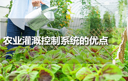 農業(yè)灌溉控制系統(tǒng)的優(yōu)點