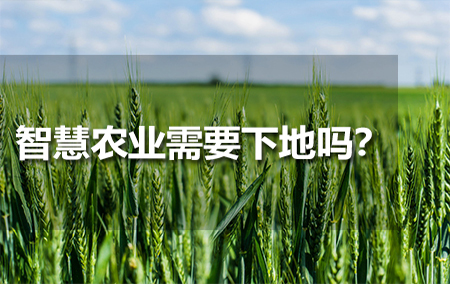 智慧農(nóng)業(yè)需要下地嗎？