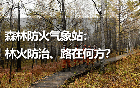 森林防火氣象站：林火防治、路在何方？