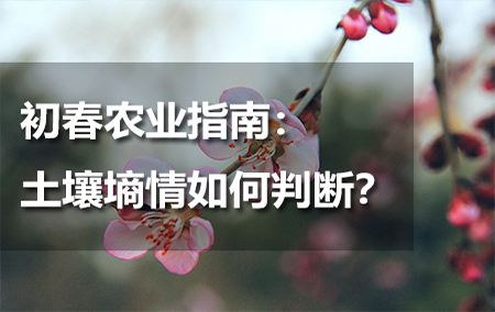 初春農(nóng)業(yè)指南：土壤墑情如何判斷？