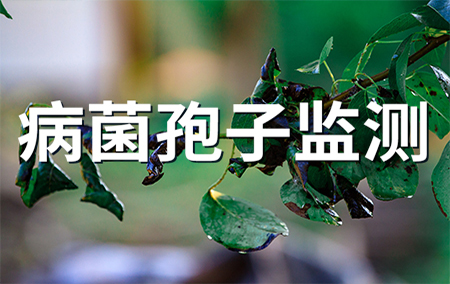 熱銷產(chǎn)品推薦丨便攜式全自動(dòng)孢子捕捉分析儀